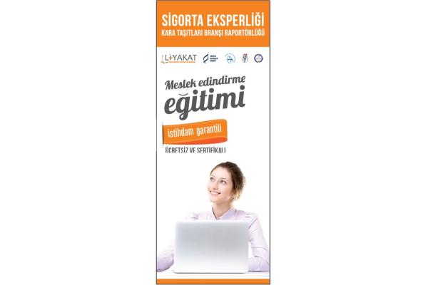 Land Vehicles Branch – Insurance Expert Reporting Project